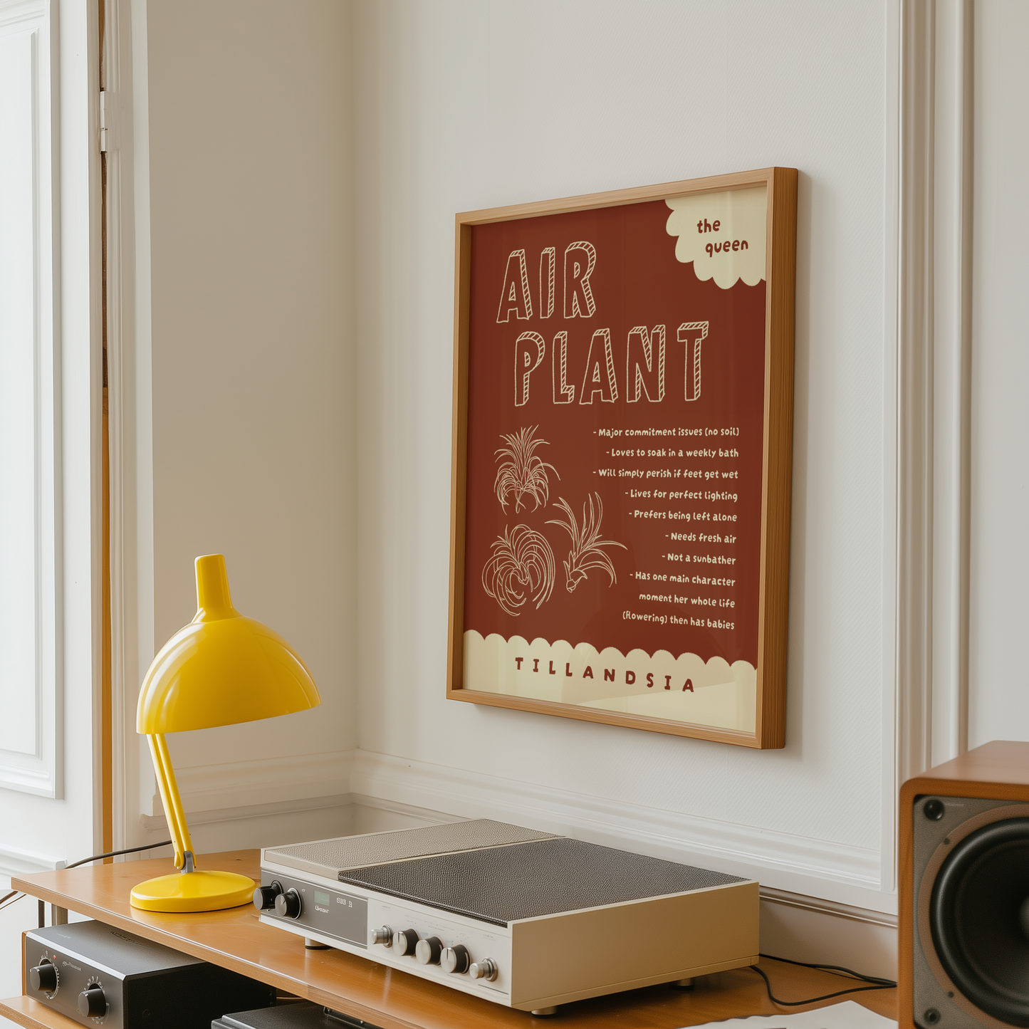 Air Plant Care Poster Print