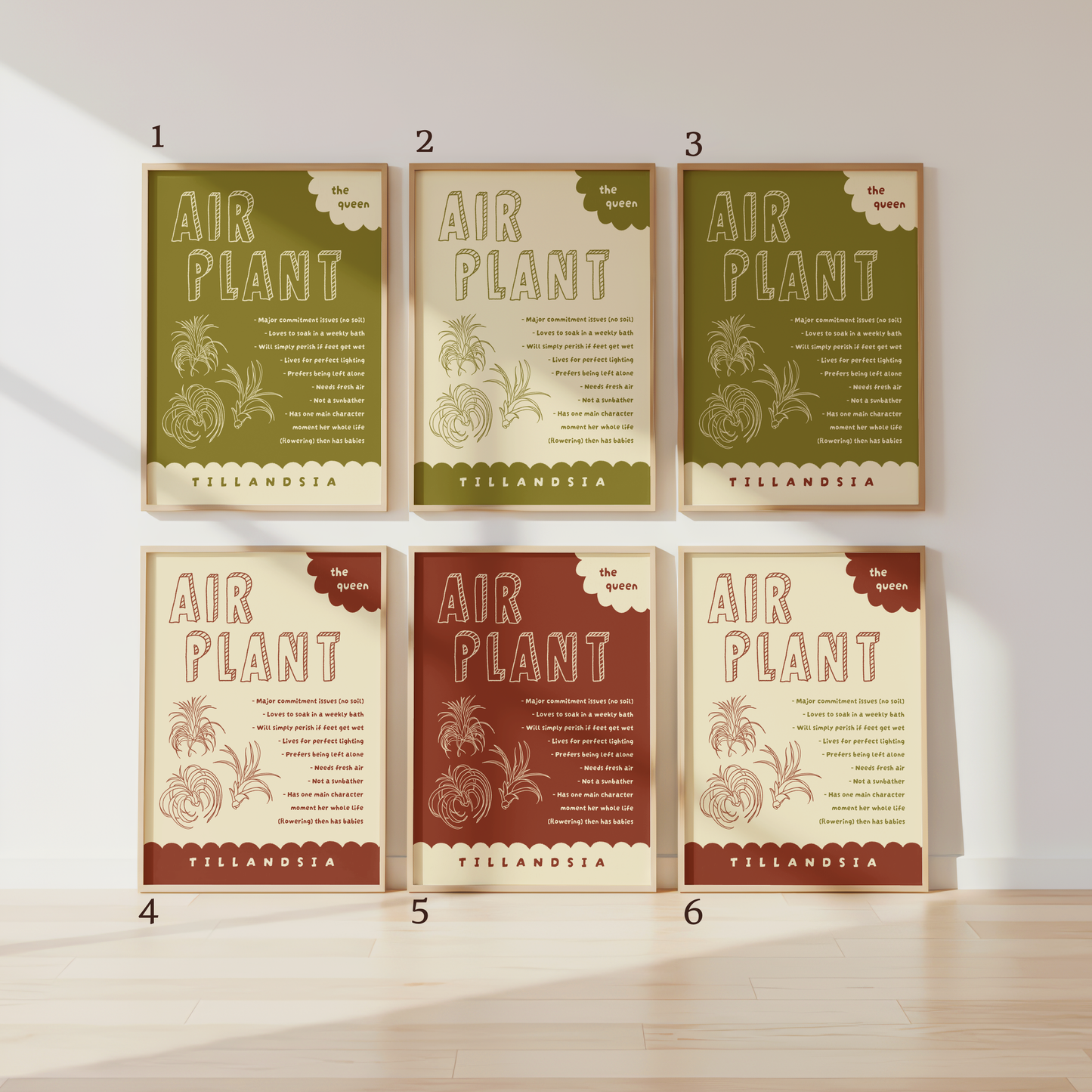 Air Plant Care Poster Print