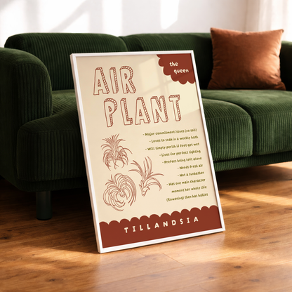 Air Plant Care Poster Print