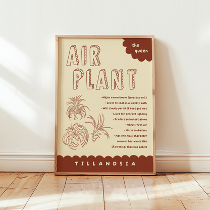 Air Plant Care Poster Print