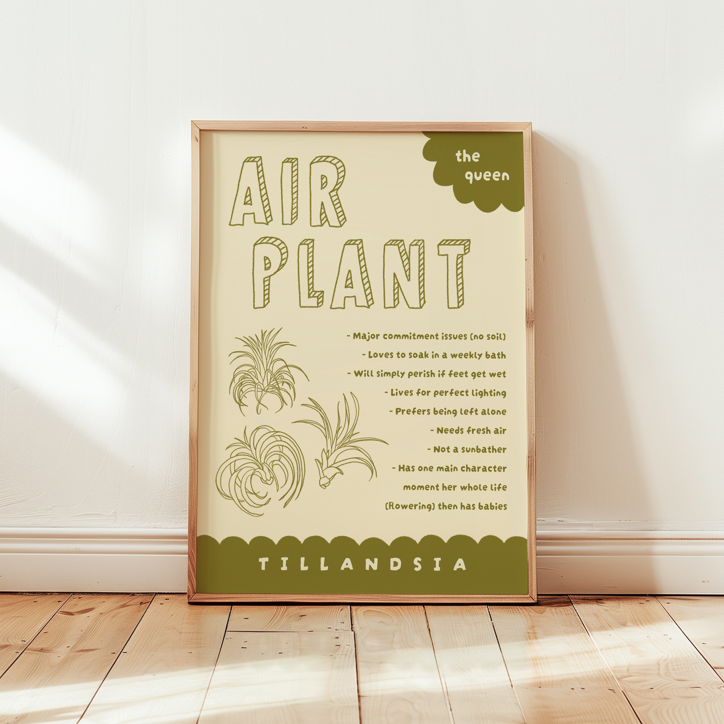 Air Plant Care Poster Print