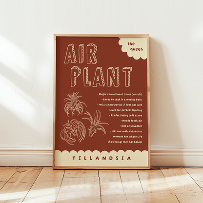 Air Plant Care Poster Print