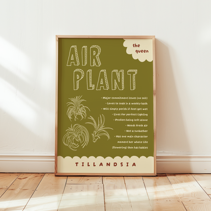 Air Plant Care Poster Print