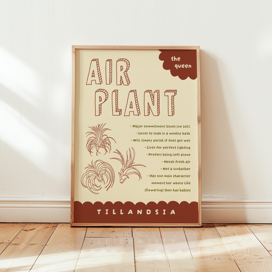 Air Plant Care Poster Print