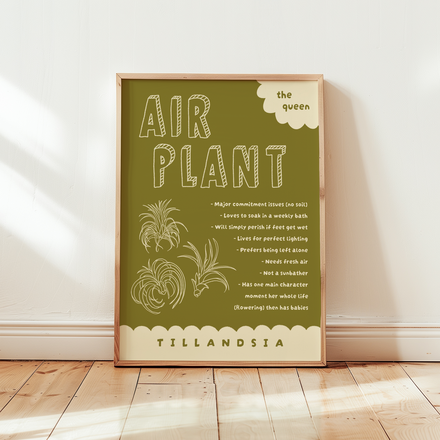 Air Plant Care Poster Print