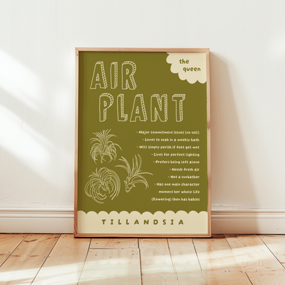 Air Plant Care Poster Print