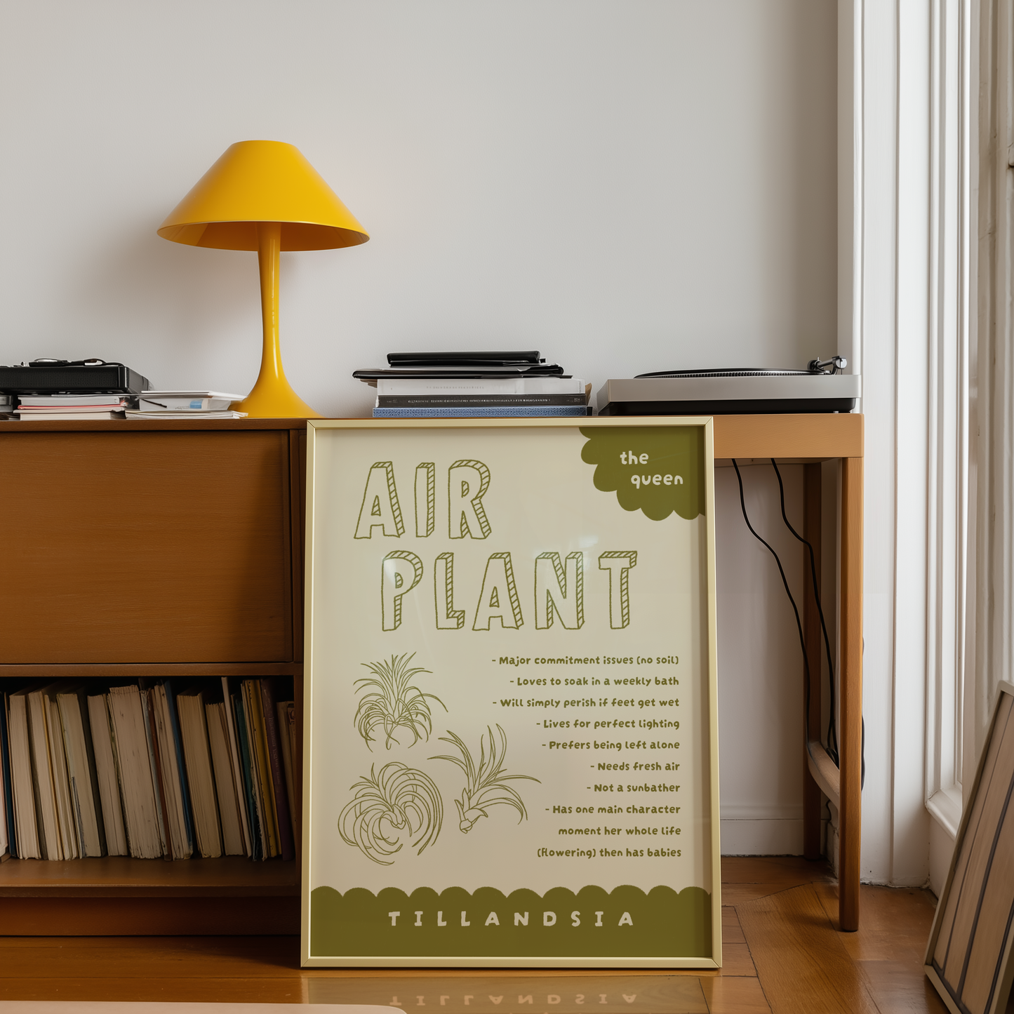 Air Plant Care Poster Print