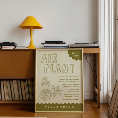 Air Plant Care Poster Print