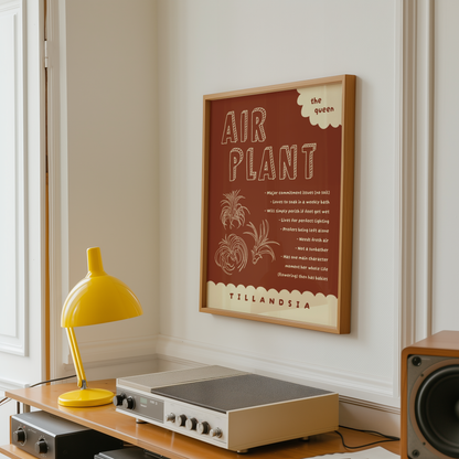 Air Plant Care Poster Print