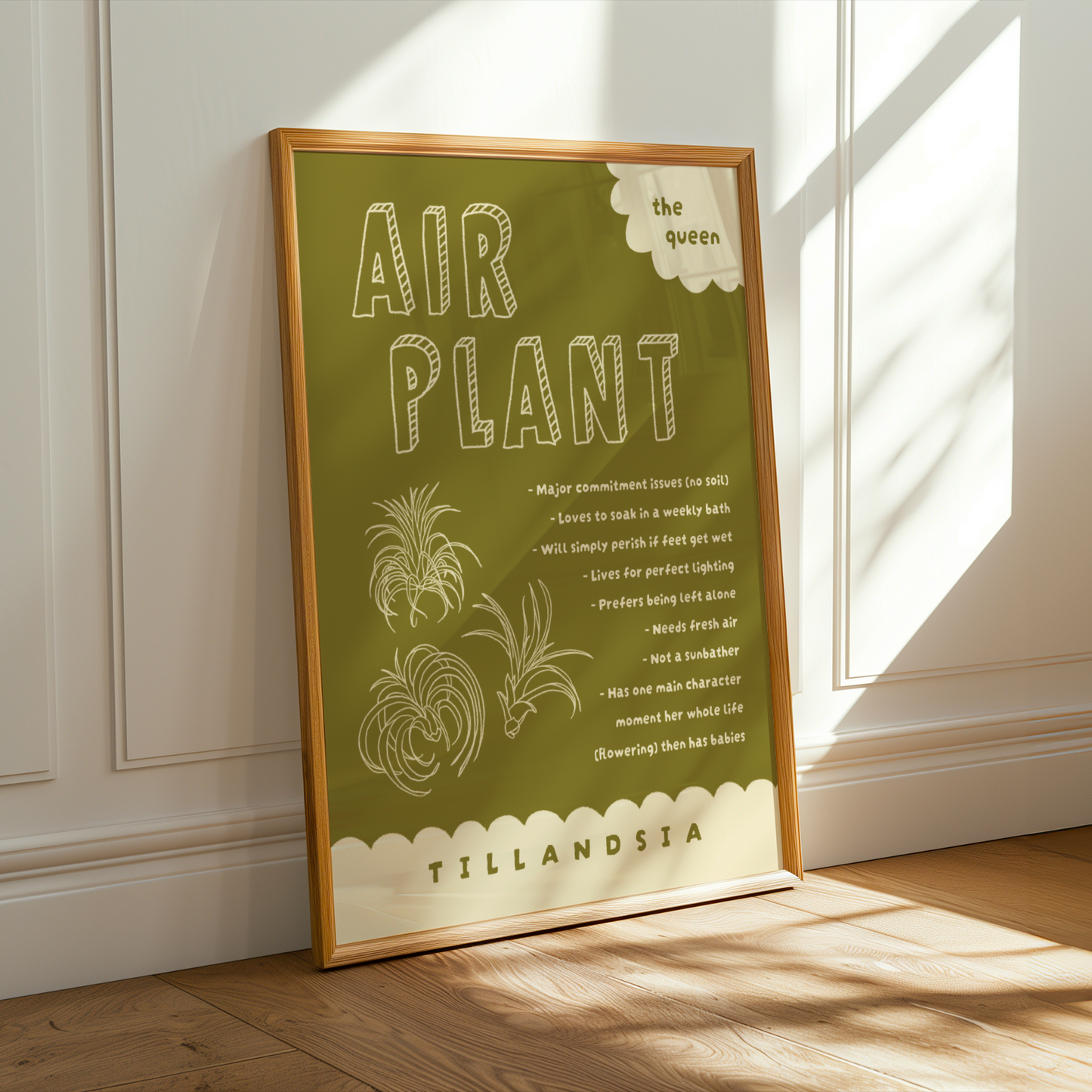 Air Plant Care Poster Print