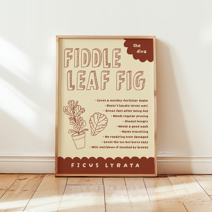 Fiddle Leaf Fig Poster Print