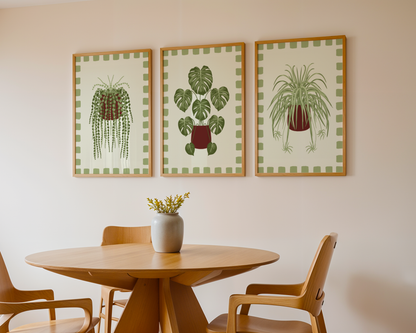 Set of 3 House Plant Print Bundle
