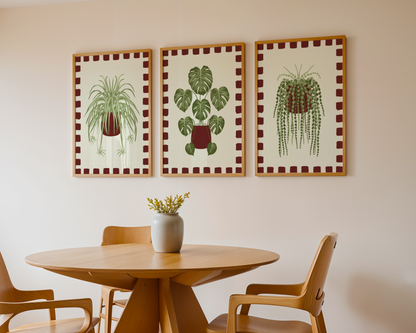 Set of 3 House Plant Print Bundle