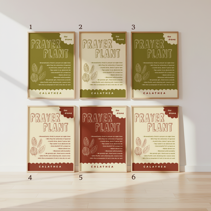 Prayer Plant Poster Print