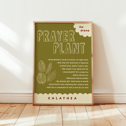 Prayer Plant Poster Print