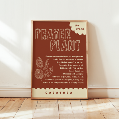 Prayer Plant Poster Print