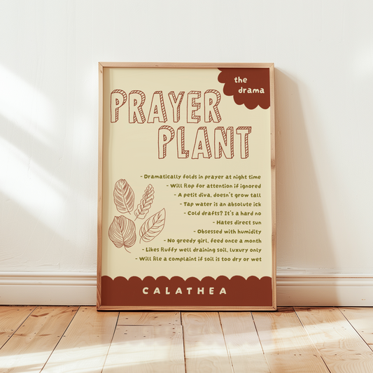 Prayer Plant Poster Print