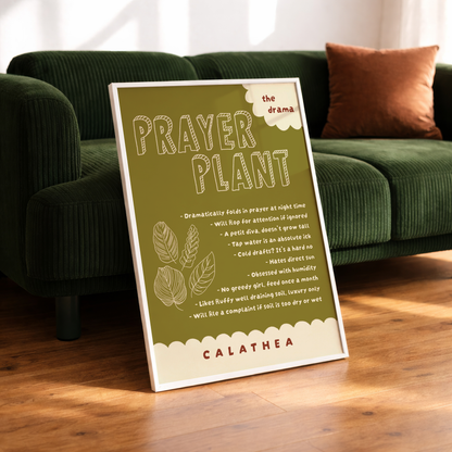 Prayer Plant Poster Print