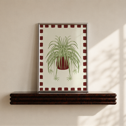 Spider Plant Checkered Border Print